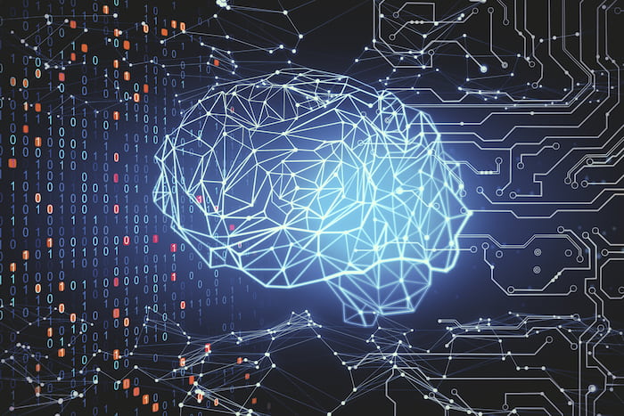 Company Brain e knowledge base